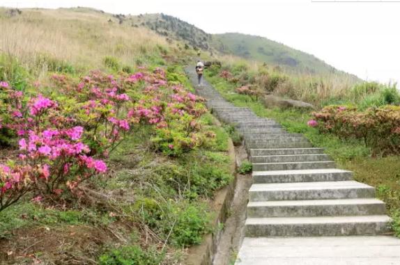 大芹山-名峰山庄：福建漳州平和产地宝-大芹山-名峰山庄,产地宝