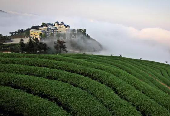 大芹山-名峰山庄：福建漳州平和产地宝-大芹山-名峰山庄,产地宝