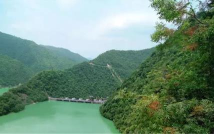 西淮坝油菜花海:汉中市略阳县西淮坝镇特产-千亩油菜花海,产地宝