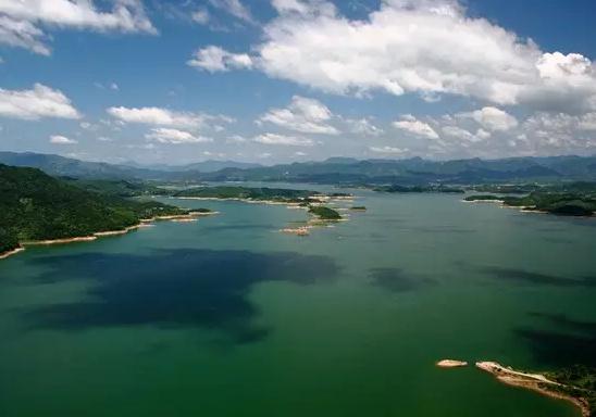 太湖花亭湖鳙鱼:安庆市太湖县特产,国家地理标志产品-太湖花亭湖鳙鱼,产地宝