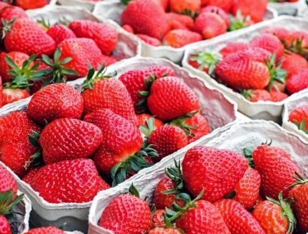 东港草莓:丹东东港市特产,国家地理标志产品-东港产地宝草莓,产地宝