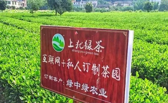 上犹绿茶:赣州上犹特产绿茶,国家地理标志产品,上犹产地宝-绿茶,产地宝