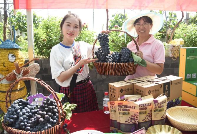 西安阎良葡萄文化旅游节在陕西和牧现代农业园区举办,产地宝