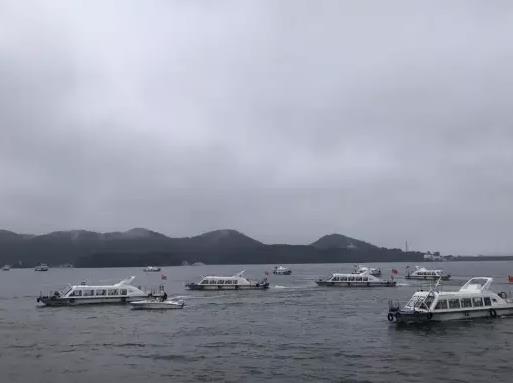 南湾湖鲌鱼:信阳浉河特产南湾湖鱼,国家地理标志产品-南湾湖鲌鱼,产地宝