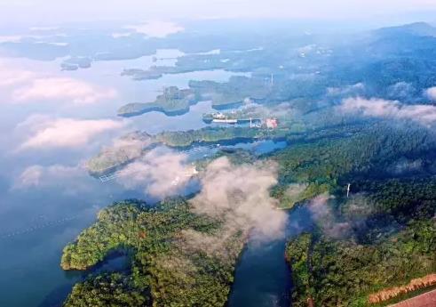 南湾湖鲌鱼:信阳浉河特产南湾湖鱼,国家地理标志产品-南湾湖鲌鱼,产地宝