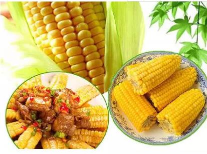 长春玉米:长春特产食品长春玉米,长春产地宝,十大土特产-长春玉米,产地宝