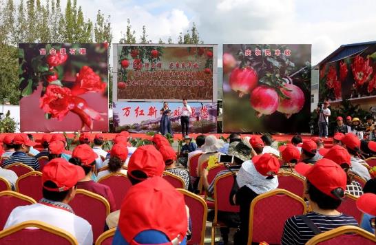 会理石榴:凉山会理县特产石榴,国家地理标志产品,产地宝-会理石榴,产地宝