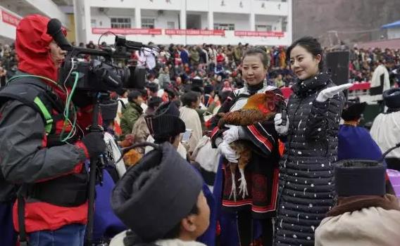 美姑岩鹰鸡:凉山美姑县特产岩鹰鸡,国家地理标志产品,产地物产-岩鹰鸡,产地宝