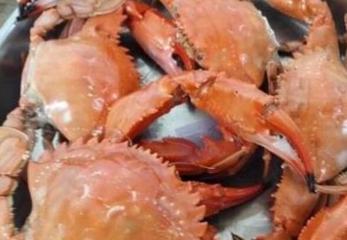 蓬莱赤甲红:烟台蓬莱市特产螃蟹,国家地理标志产品产地海品赤甲红,产地宝