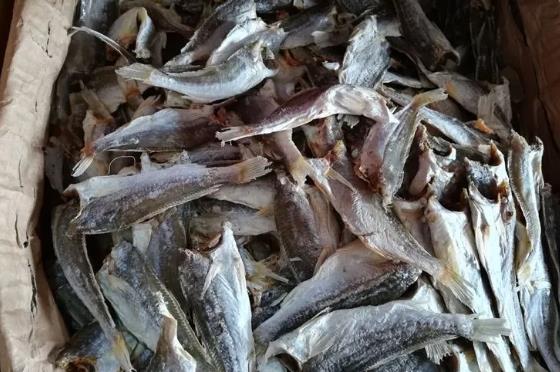 养马岛咸鱼干:烟台牟平区特产咸鱼干,产地海产品养马岛咸鱼干,产地宝