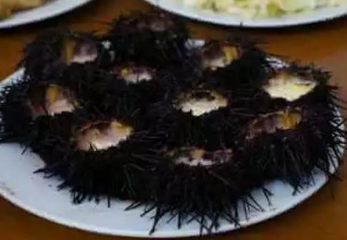 长岛紫海胆:烟台长岛特产,产地海产品紫海胆酱海胆罐头,产地宝