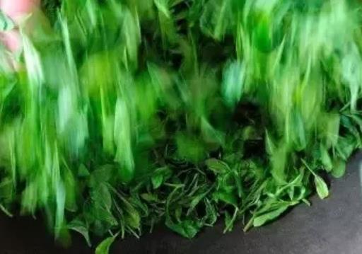 松带雨有机绿茶:烟台福山张格庄镇马蹄夼村特产绿茶,产地农产品绿茶,产地宝