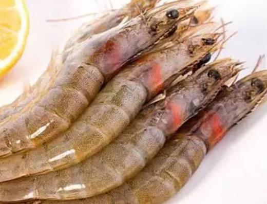芝罘对虾:烟台芝罘区特产对虾,产地海产品芝罘对虾,产地宝