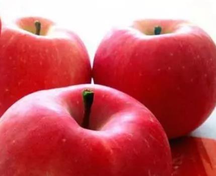 海阳苹果:烟台海阳市发城镇王家山后村特产苹果,产地网销水果,产地宝