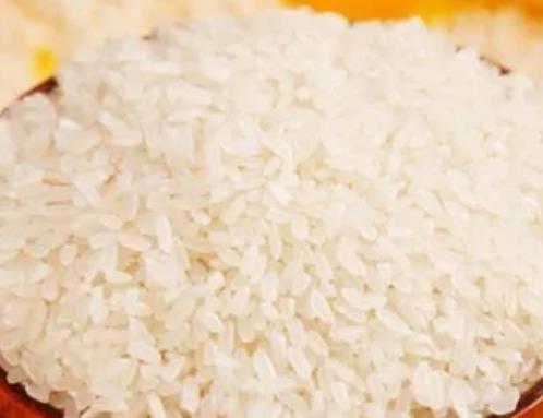 明水香稻:济南章丘区特产明水香稻,国家地理标志产品香稻,产地宝