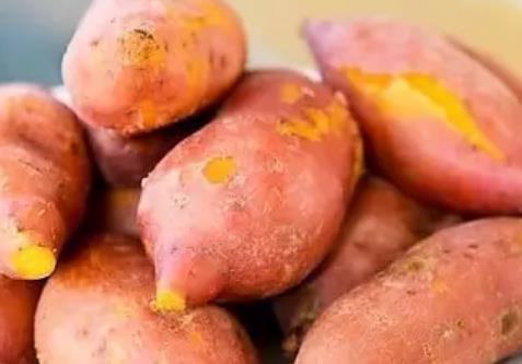 平阴鲜食地瓜:济南平阴特产地瓜,地理标志产品,产地网销红薯,产地宝