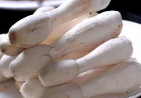 孔村鸡腿菇:济南平阴孔村镇特产鸡腿菇,产地网销农产品蘑菇,产地宝