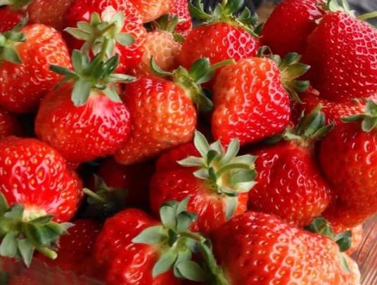祝沟草莓:青岛平度特产祝沟草莓,国家地理标志产品,网销水果,产地宝