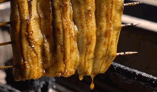 顺德鳗鱼:佛山市顺德区特产鳗鱼,国家地理标志产品鳗鱼,产地宝