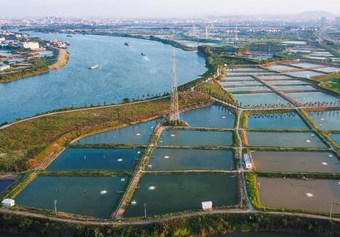 勒流稔海烤鳗:佛山市顺德区勒流街道稔海村特产烤鳗食品,产地宝