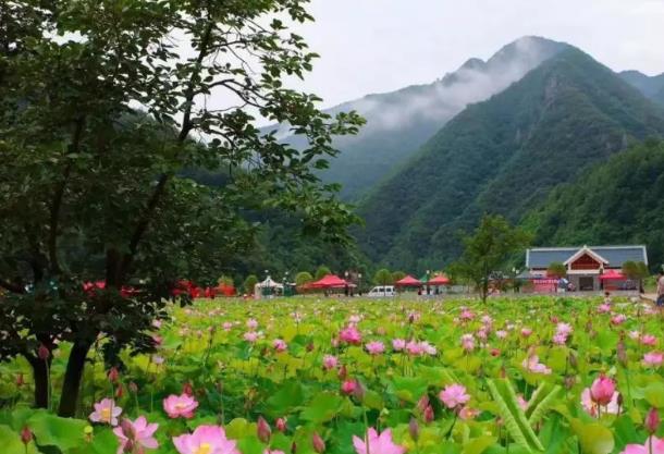 栾川秋扒烧饼:洛阳栾川县秋扒镇特产美食小吃秋扒烧饼,产地宝