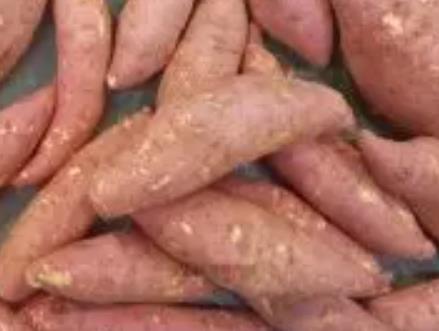 西平红薯:驻马店市西平县特产红薯,产地农产品红薯,产地宝