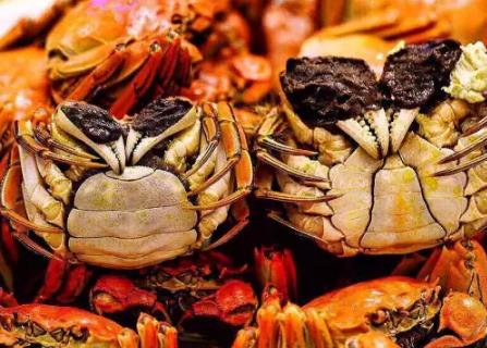 建德大洋螃蟹:杭州市建德大洋镇特产水产品大洋螃蟹,产地宝