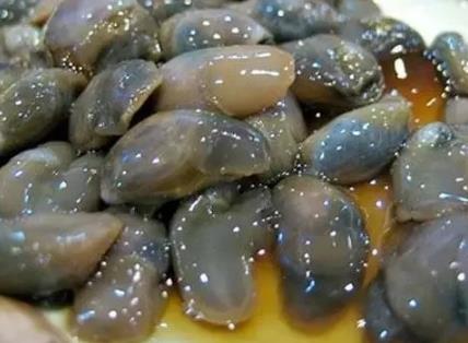 慈溪龙山黄泥螺:宁波慈溪市特产黄泥螺,产地海鲜农产品,产地宝