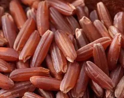 天台紫米:台州市天台县特产紫米,产地农产品水稻紫米,产地宝