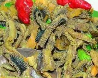 玉环海蜈蚣:台州市玉环县特色美食海蜈蚣,产地宝