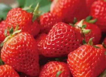 临海草莓:台州市临海邵家渡特产草莓,产地水果农产品草莓,产地宝