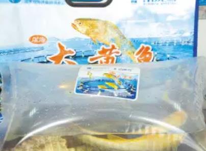 南麂大黄鱼:温州平阳县特产南麂大黄鱼,产地海产品大黄鱼,产地宝
