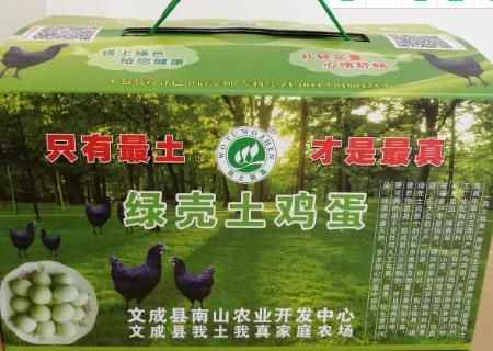 文成绿壳土鸡蛋:温州文成特色旅游商品绿壳鸡蛋,产地农产品,产地宝