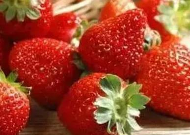 江阴云亭草莓:无锡江阴特产云亭草莓,产地农产品水果草莓,产地宝