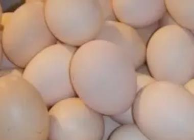 海安禽蛋:南通市海安特产禽蛋,产地农产品鸡蛋鸭蛋,产地宝