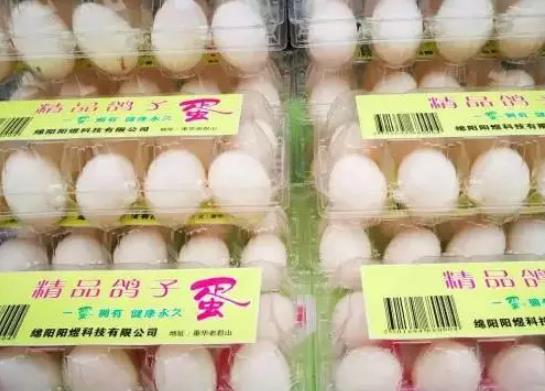 江油重华鸽子蛋:绵阳江油市特产重华老君山鸽子蛋,产地宝