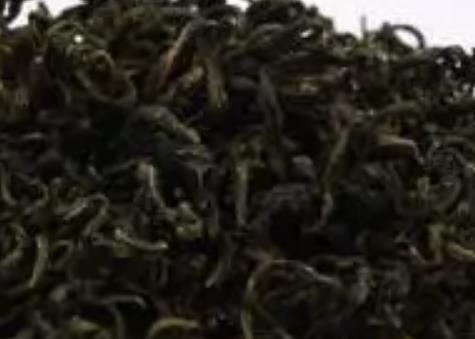 唐县蒲公英茶:保定唐县东庄湾特产蒲公英茶,产地农产品茶,产地宝