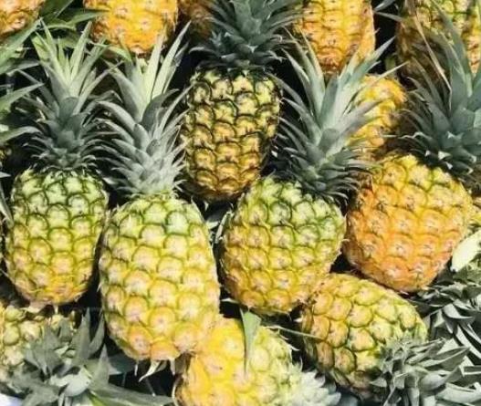 那廊金菠萝:南宁江南区江西镇那廊村特产金菠萝,产地水果菠萝,产地宝